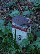 P1030726