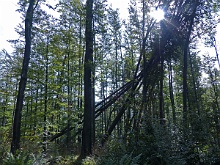 P1030755