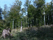 P1030759