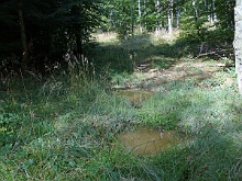 P1030761