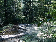 P1030769