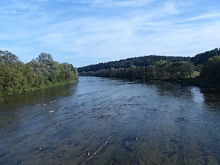 P1030821