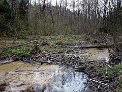 Dol. Brusienki