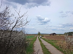 DSC 2538