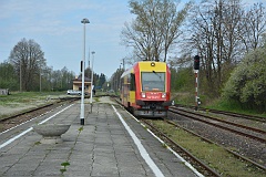 Horyniec