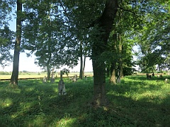 WP 2015-07-03 14-05-50 IMG 2522