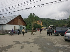 Poienile de sub Munte