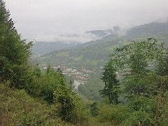 Repedea
