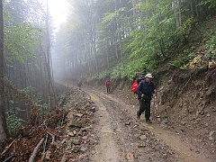 WP 2017-09-13 14-22-08 IMG 1200