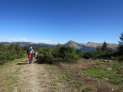 WP 2017-09-14 13-02-24 IMG 1291