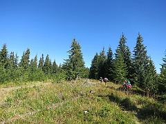 WP 2017-09-14 13-28-59 IMG 1292