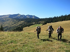 WP 2017-09-14 14-44-29 IMG 1294