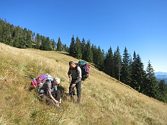 WP 2017-09-14 14-52-01 IMG 1295