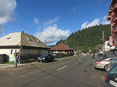 Repedea